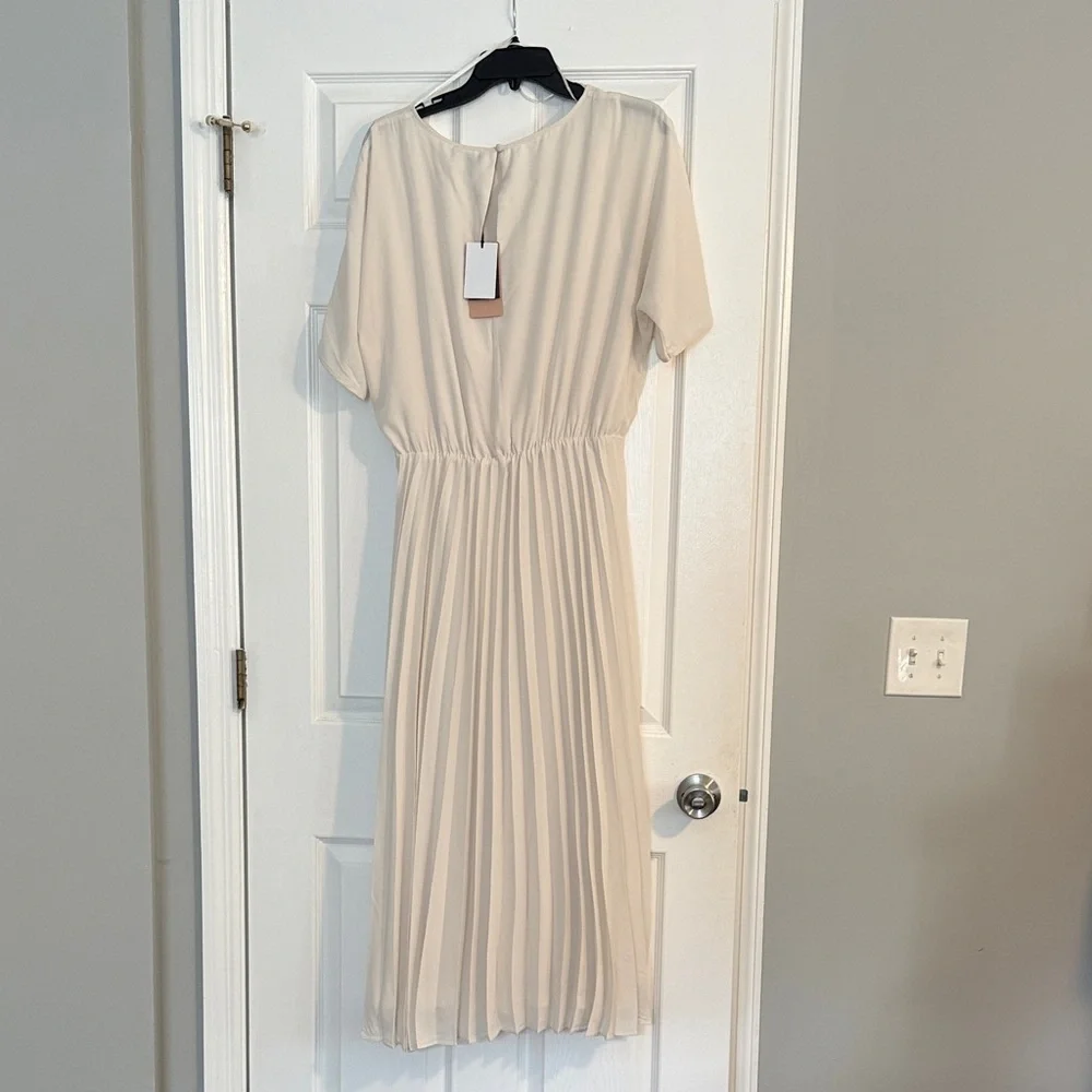 Elegant Cream Pleated Dress - Picture 3 of 5